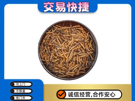 盘锦市兴隆台高价回收散虫草